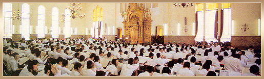 ממלכת התורה – ישיבת פוניבז' ממלכת התורה – ישיבת פוניבז'